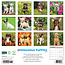 Chihuahua Puppies Kalender 2025