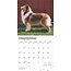 Schotse Herder / Collie Kalender 2025