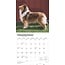 Schottischer Schäferhund / Collie Kalender 2025