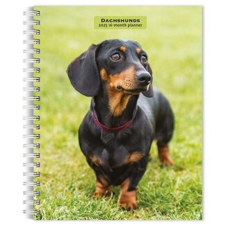 Browntrout Dachshund Agenda 2025