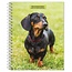 Browntrout Dachshund Agenda 2025