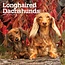 Browntrout Dachshund Longhair Calendar 2025