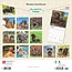 Miniature Dachshund Calendar 2025