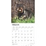 Miniatur-Dachshund-Kalender 2025