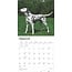 Calendrier Dalmatien 2025