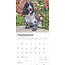 Calendario Cocker Spaniel Inglese 2025