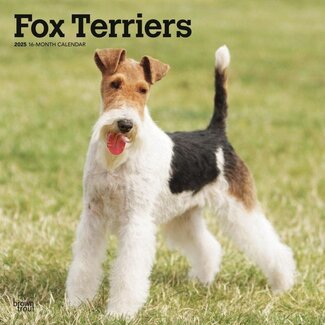 Browntrout Calendario Fox Terrier 2025