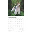 Calendario Fox Terrier 2025