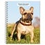 French Bulldog Agenda 2025