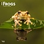 Frog Calendar 2025