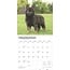 Calendrier des chiots du berger allemand 2025