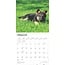 Duitse Herder Puppies Kalender 2025