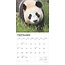 Calendrier Panda 2025