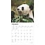 Calendrier Panda 2025