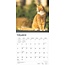 Red Cat Calendar 2025