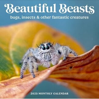 Marble City Beautiful Beasts Calendar 2025