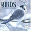 Marble City Birds Calendar 2025