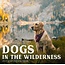 Dogs in the Wilderness Kalender 2025