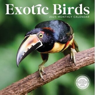 Marble City Exotic Birds Calendar 2025