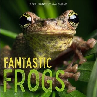 Marble City Frogs Calendar 2025