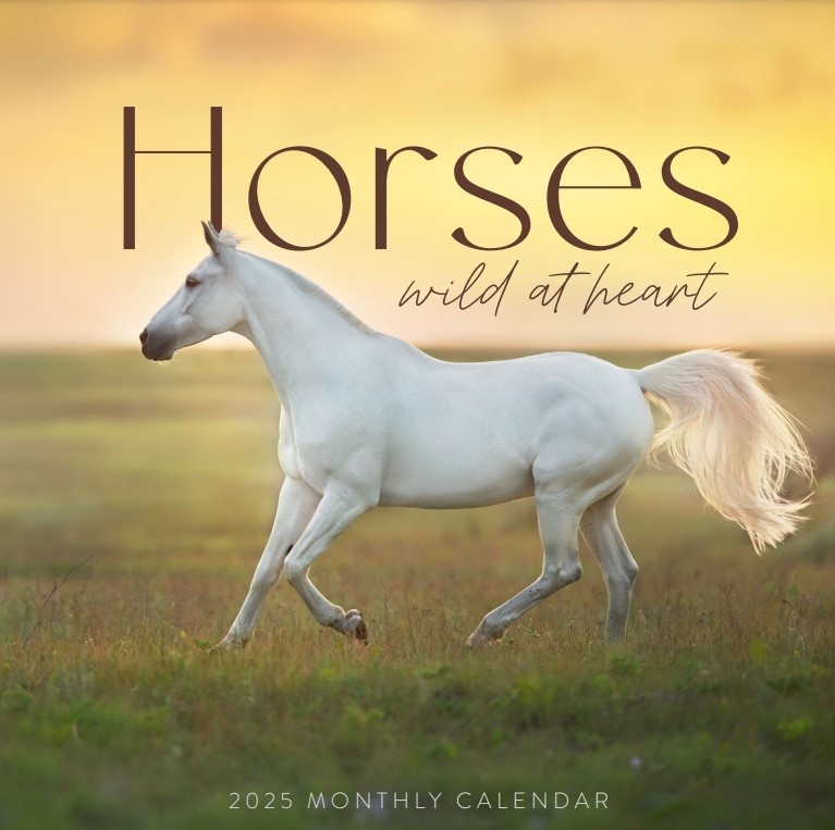 Beautiful Horses Calendar 2025? Order easily and quickly Online.