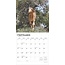 Goats in Trees Kalender 2025