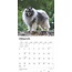 Calendrier Keeshond 2025