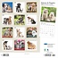 Kittens and Puppies Kalender 2025