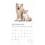 Kittens and Puppies Kalender 2025