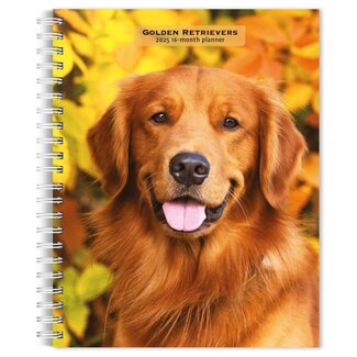 Browntrout Agenda 2025 du Golden Retriever