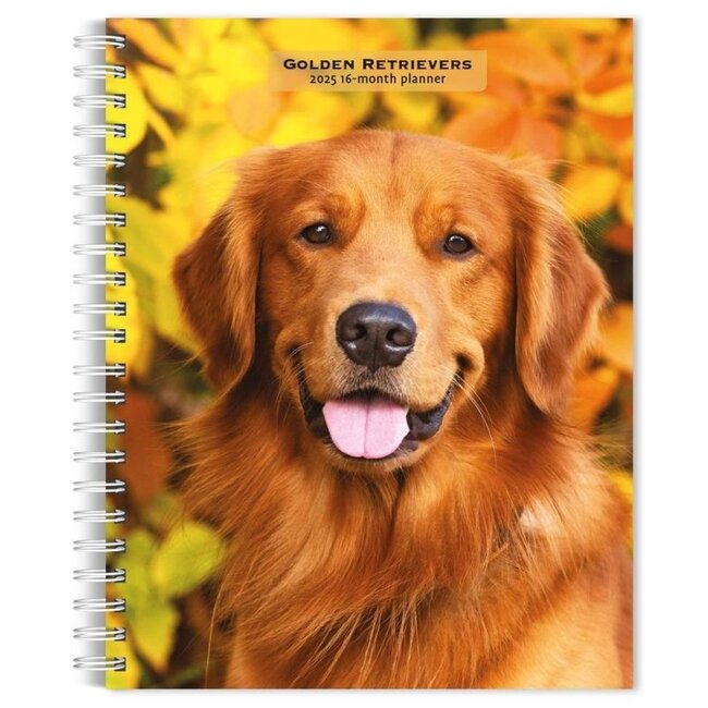 Golden Retriever Agenda 2025