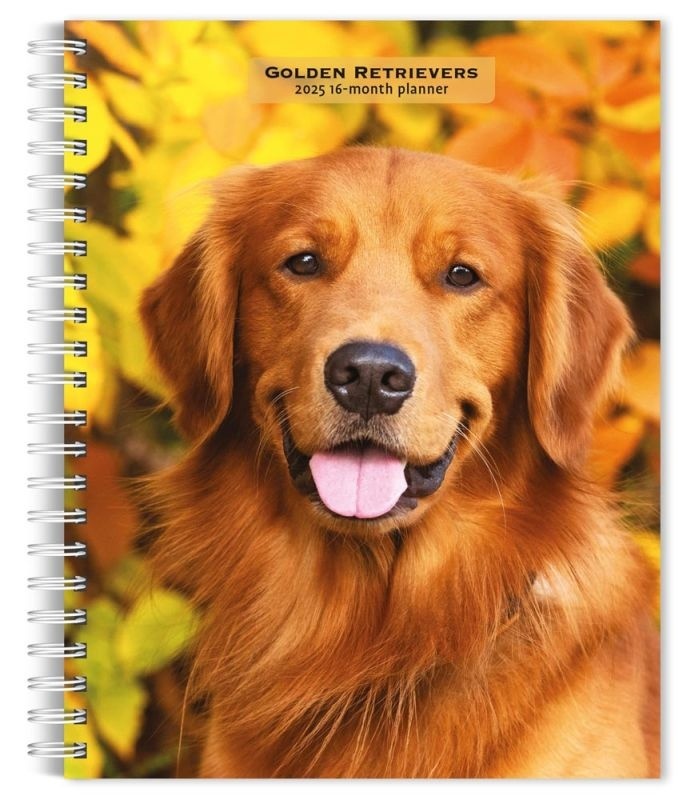 Golden Retriever Agenda 2025 Buy? with beautiful pictures of the Golden