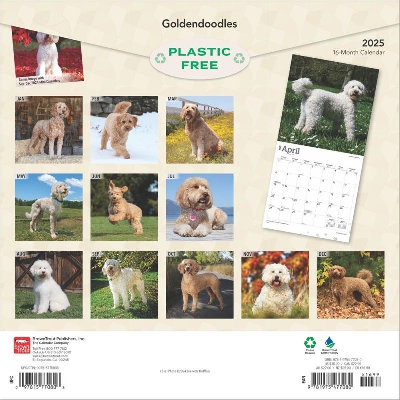 Buying Goldendoodle Calendar 2025 simply order online