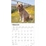 Calendario Goldendoodle 2025