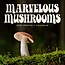 Marble City Mushrooms Calendar 2025