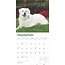 Pyrenean Mountain Dog Calendar 2025