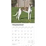 Calendario de Galgos 2025