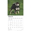 Calendario Shiba Inu 2025