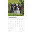 Calendario Shih Tzu 2025