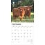 Schottischer Highlander Kalender 2025