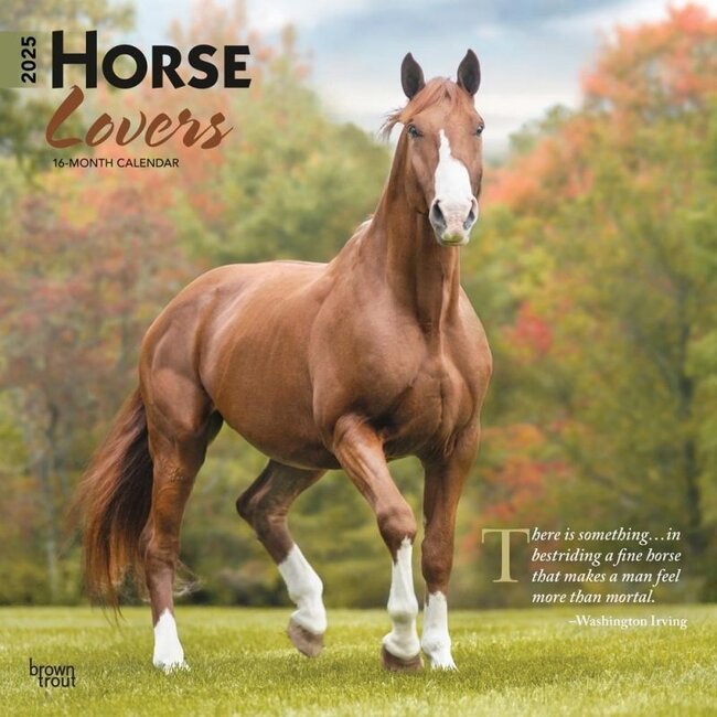 Horse Lovers Calendar 2025
