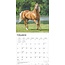 Calendario de los amantes de los caballos 2025