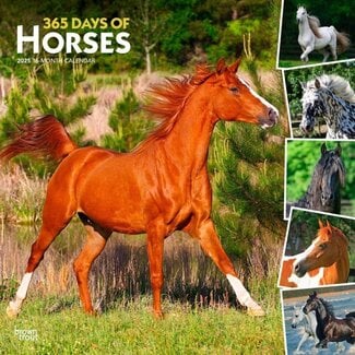 Browntrout I Love Horses 366 Días Calendario 2025