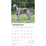 Calendario Irish Wolfhound 2025