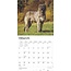 Calendario Irish Wolfhound 2025