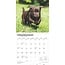 Labrador Retriever Brown Puppies Calendar 2025