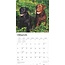 Labrador Retriever Mixte Calendrier 2025