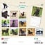 Labrador Retriever Schwarzer Kalender 2025