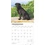 Labrador Retriever Schwarzer Kalender 2025