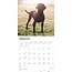 Calendario nero del Labrador Retriever 2025